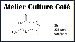 Atelier Culture Café