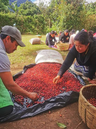 San Antonio | El Salvador – Image 3