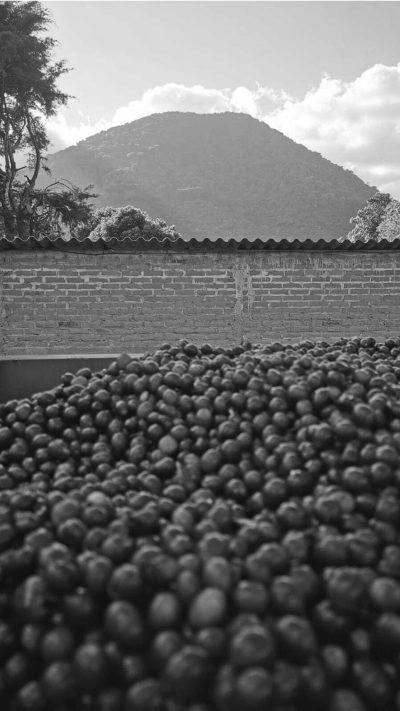 San Antonio | El Salvador – Image 2
