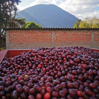 San Antonio | El Salvador