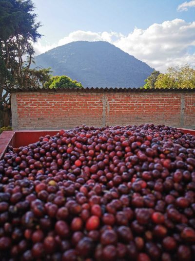 San Antonio | El Salvador