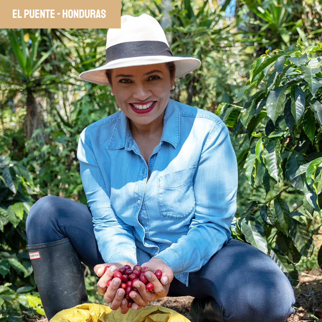 café du honduras