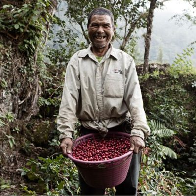 Producteur Amankaya