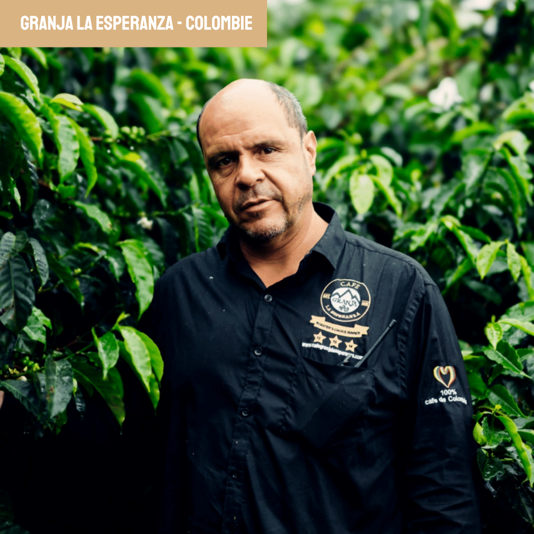 café de spécialité colombien