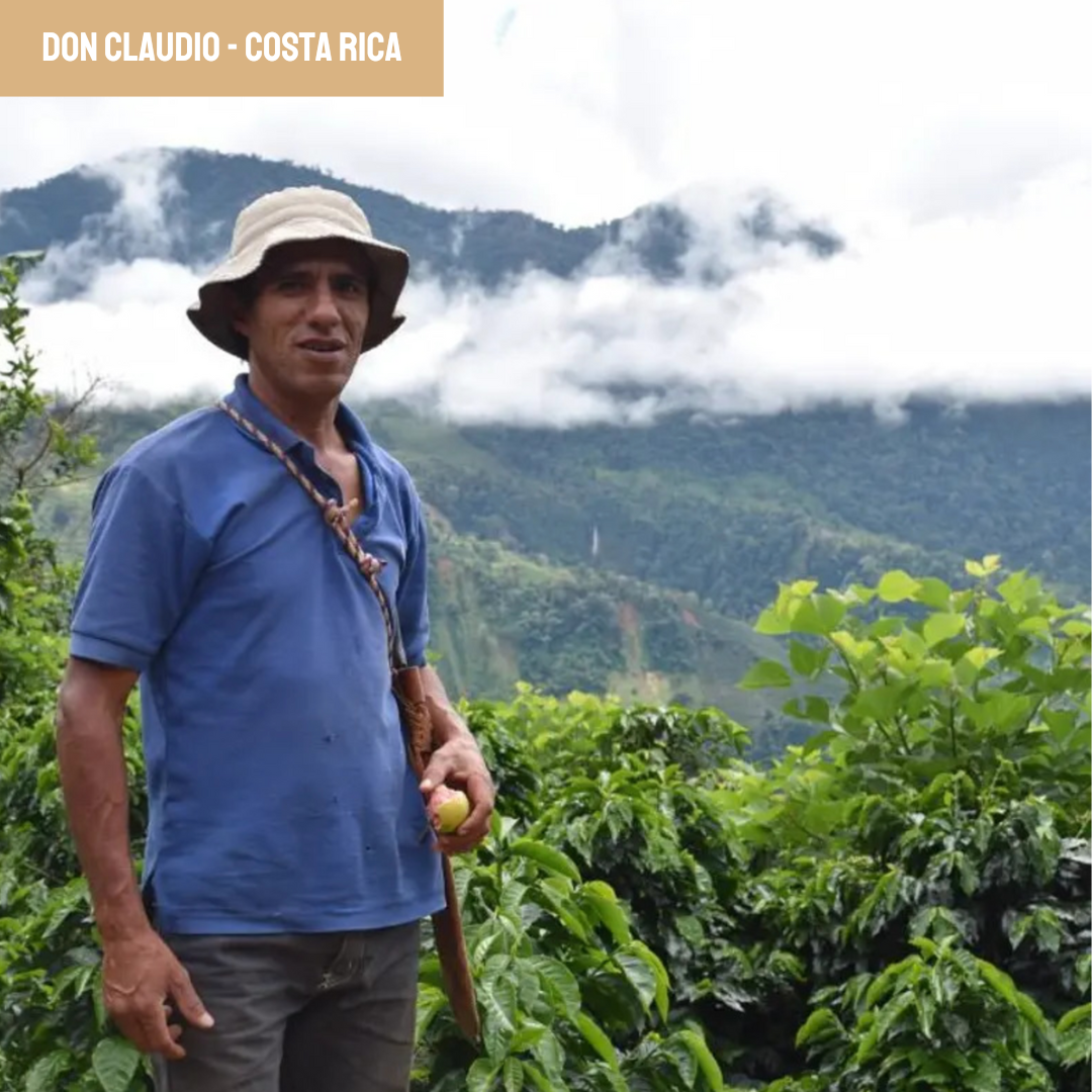café costa rica