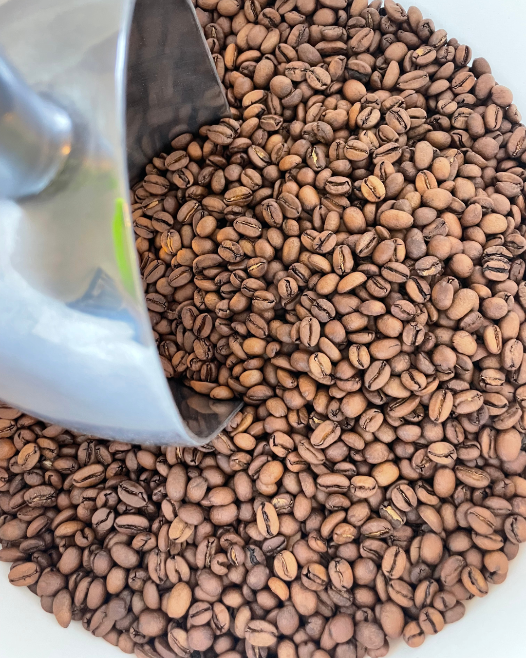 ACHETER DU CAFÉ DE SPÉCIALITÉ EN LIGNE