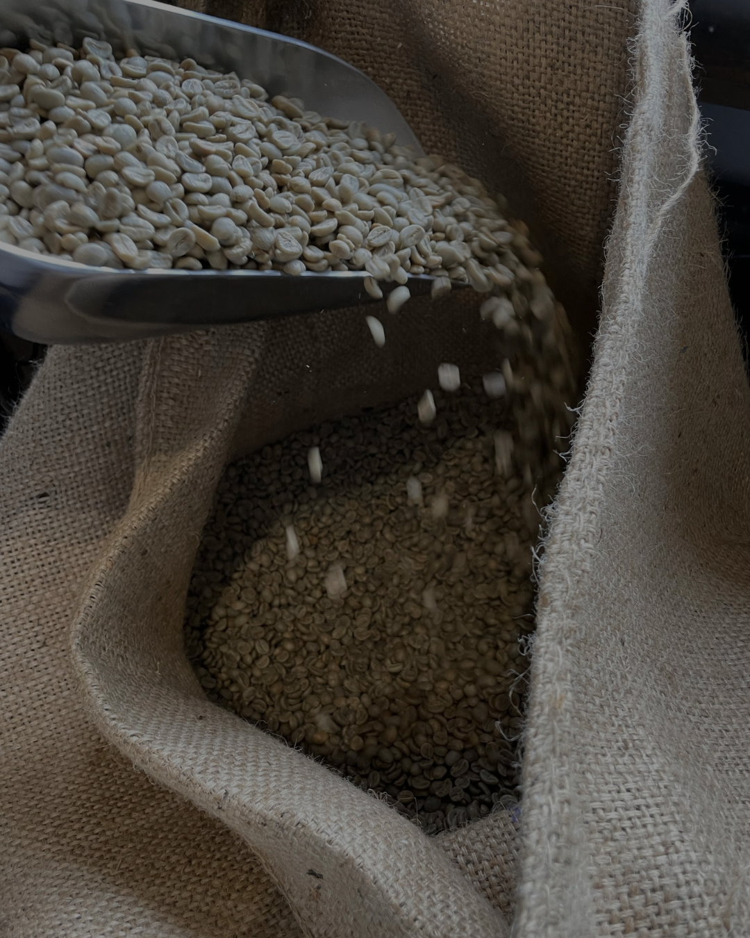 grains de café grains de café