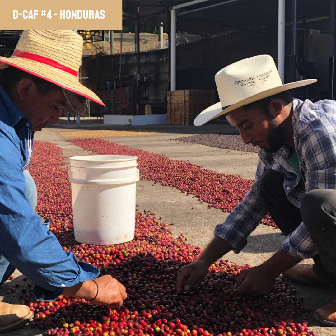café du honduras bio