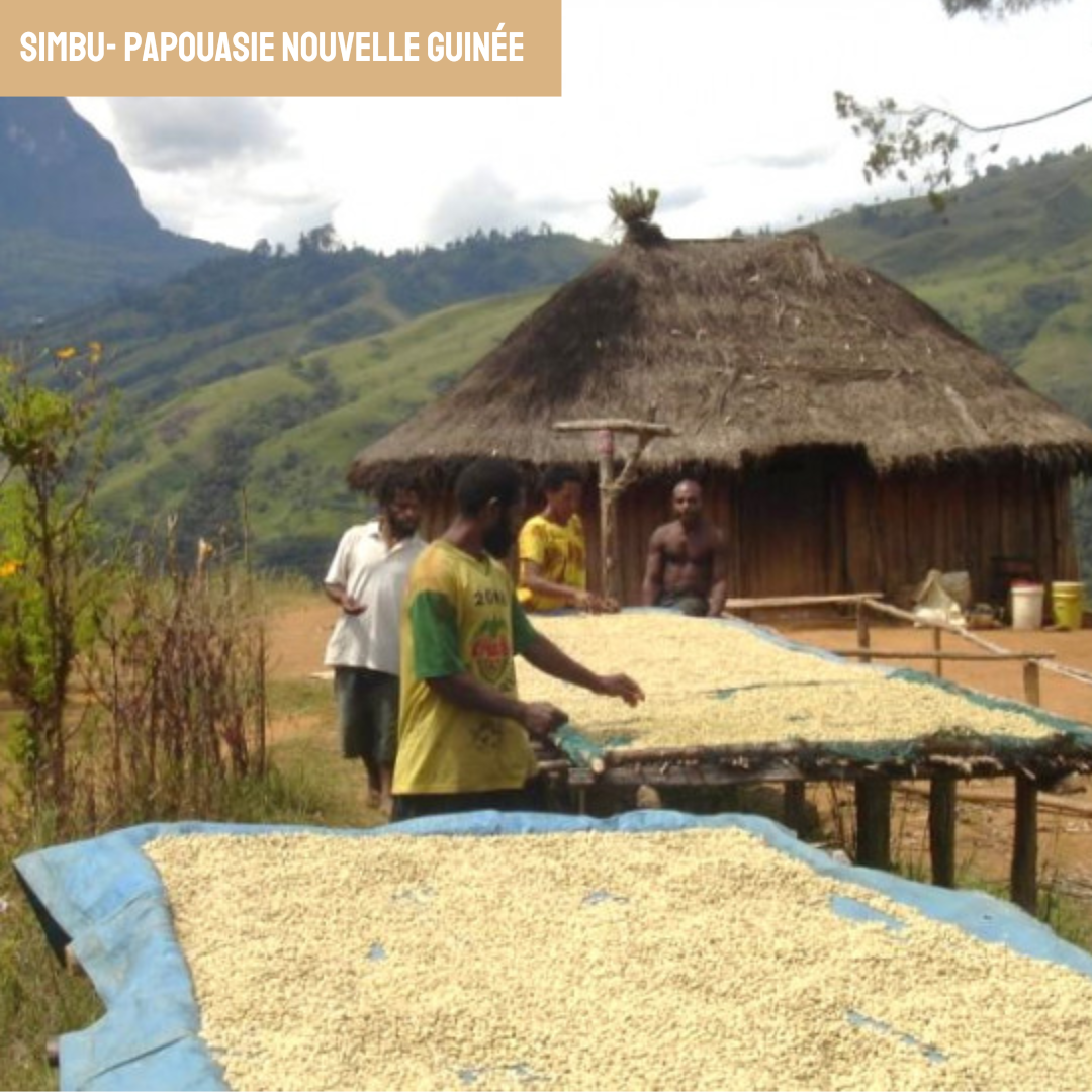 CAFÉ papouasie nouvelle guinée