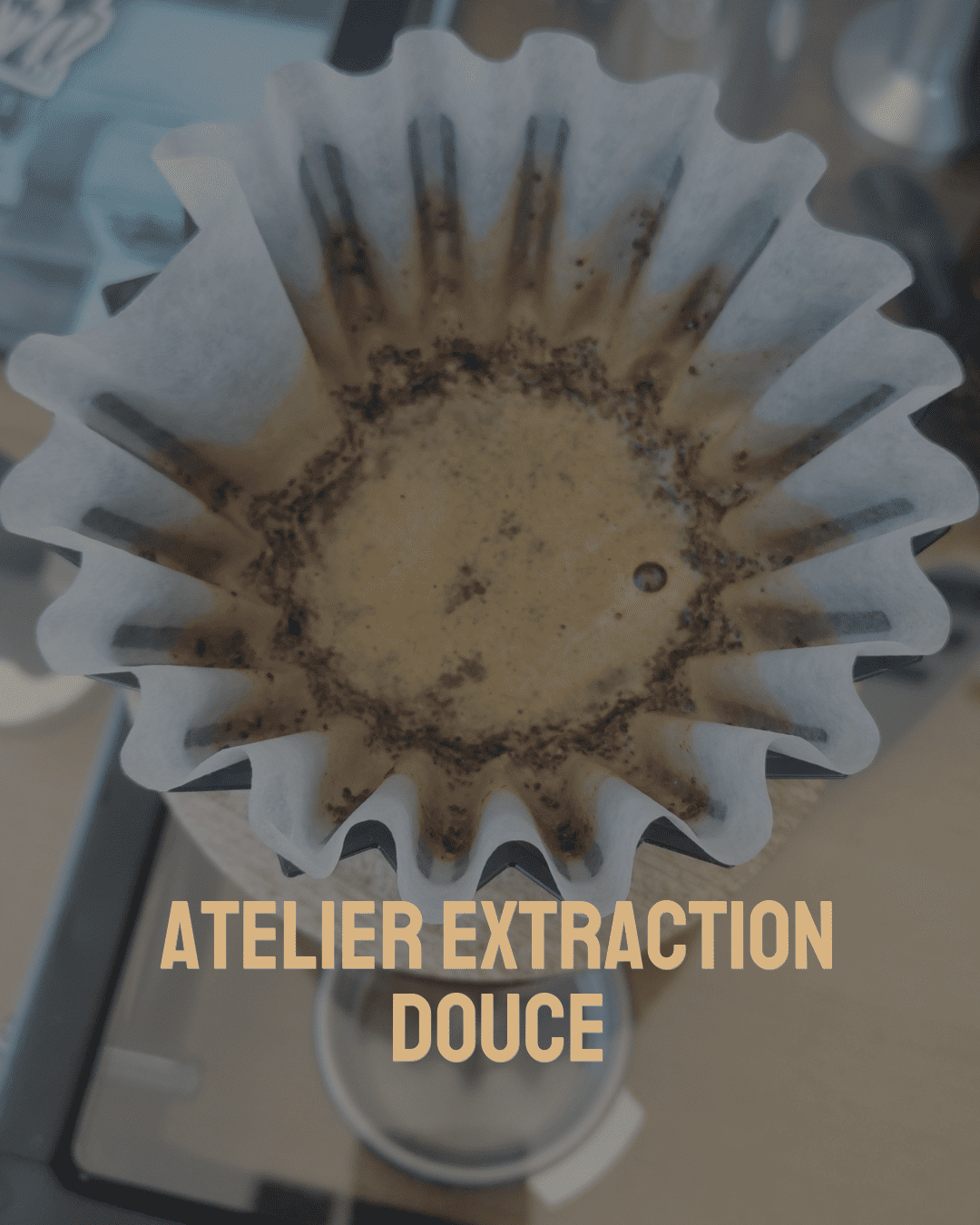 atelier extraction douce