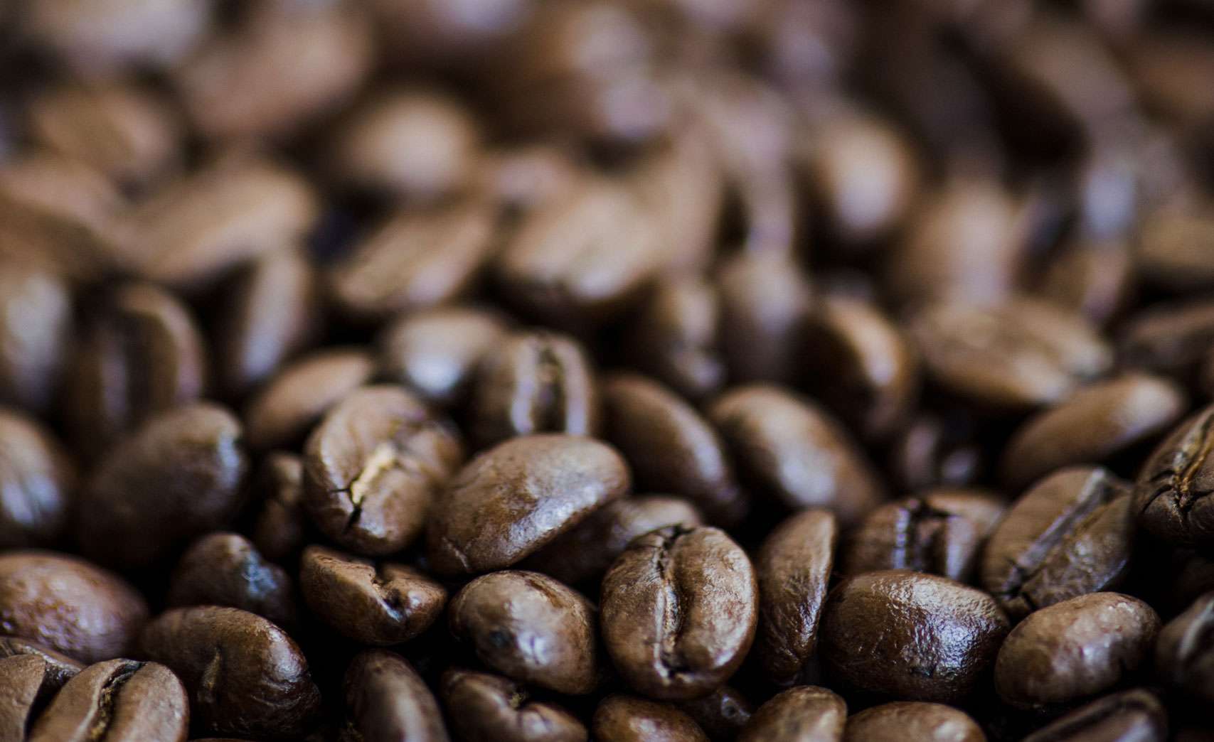 grains de café de spécialité