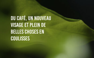 Du café, un nouveau visage et plein de belles choses en coulisses ☕🔥